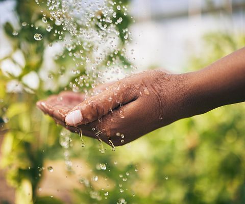 Grafika Korzyści z ZYPHO